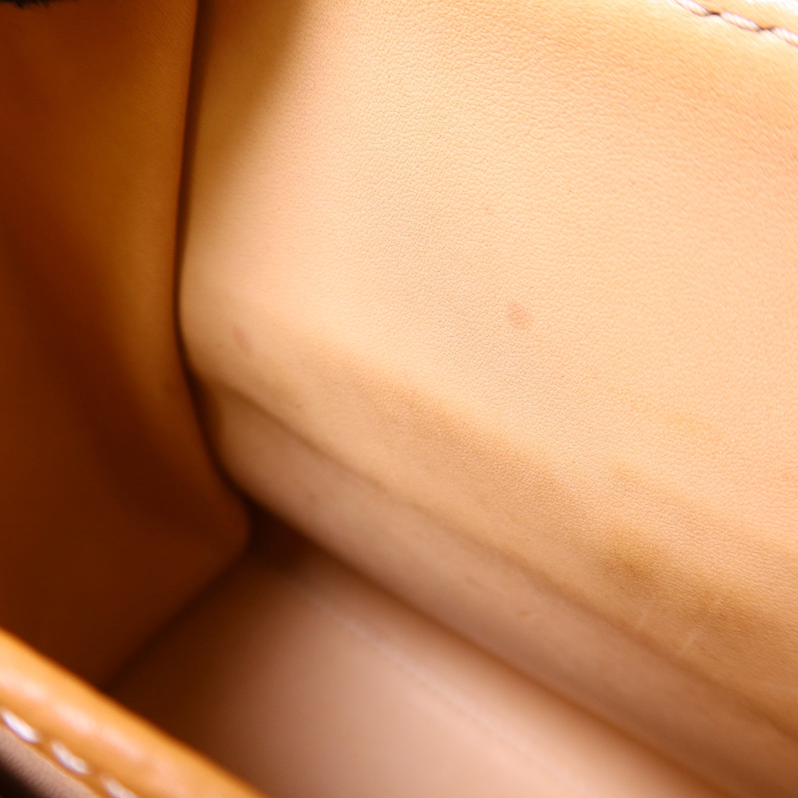 Delvaux 牛皮皮革Tempete PM金扣手挽肩背兩用袋