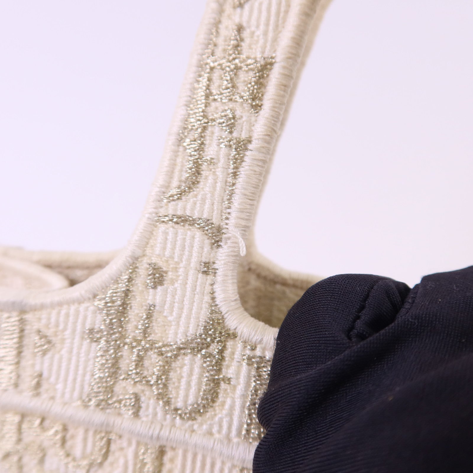 Dior 帆布Nano Book Tote手挽袋