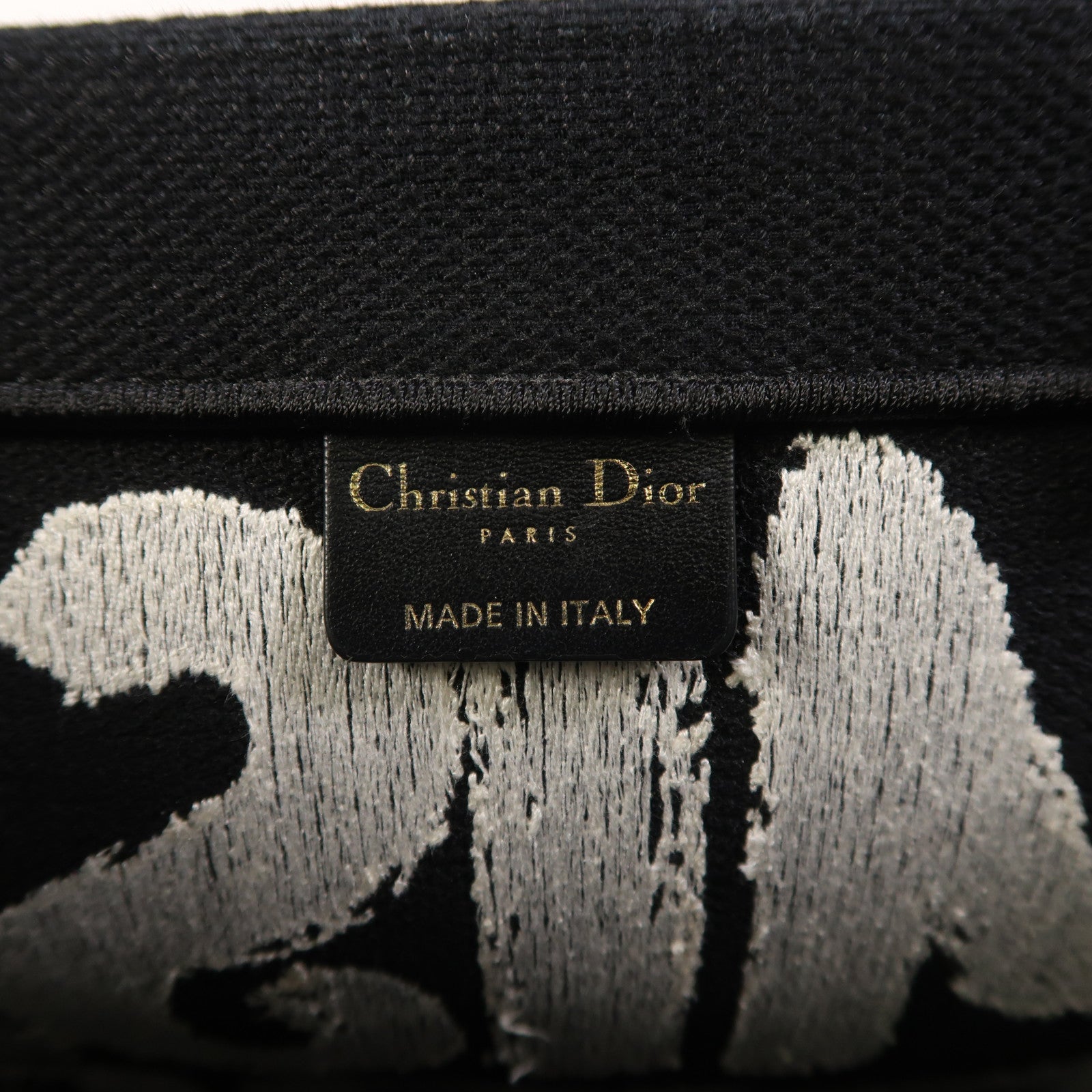 Dior 帆布Book Tote手挽袋