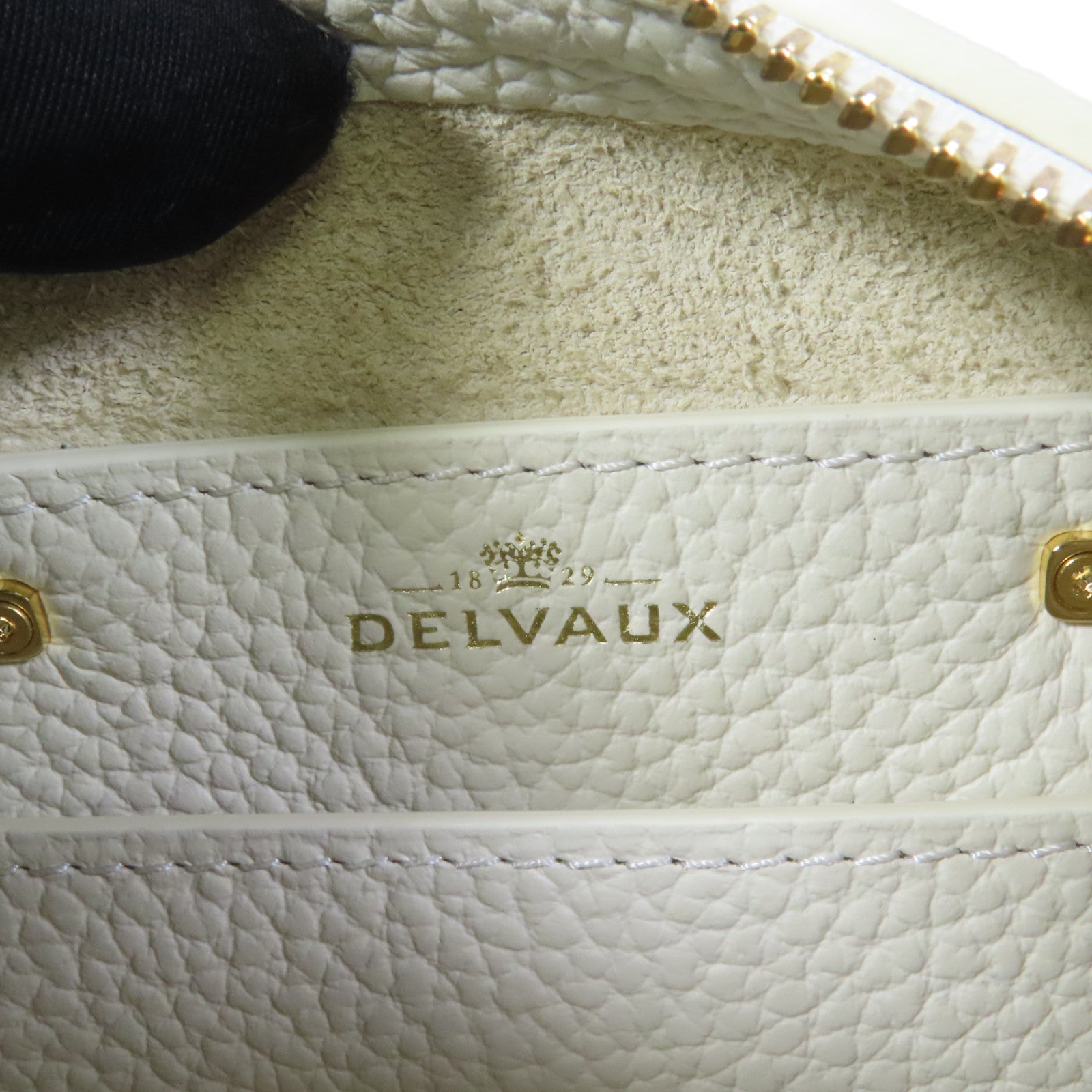 Delvaux 牛皮皮革Cool Box Nano金扣手挽肩背兩用袋