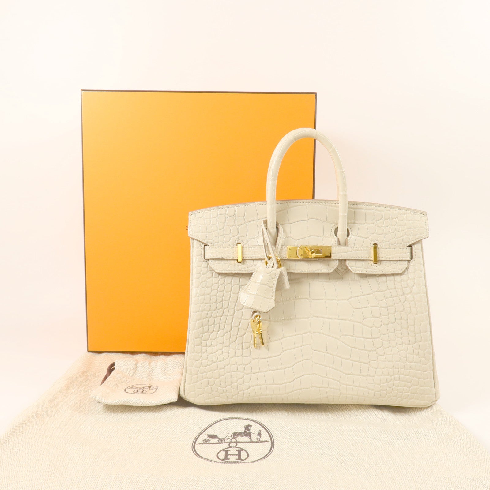 HERMES Alligator Mat皮革Birkin 25金扣手挽袋Beton