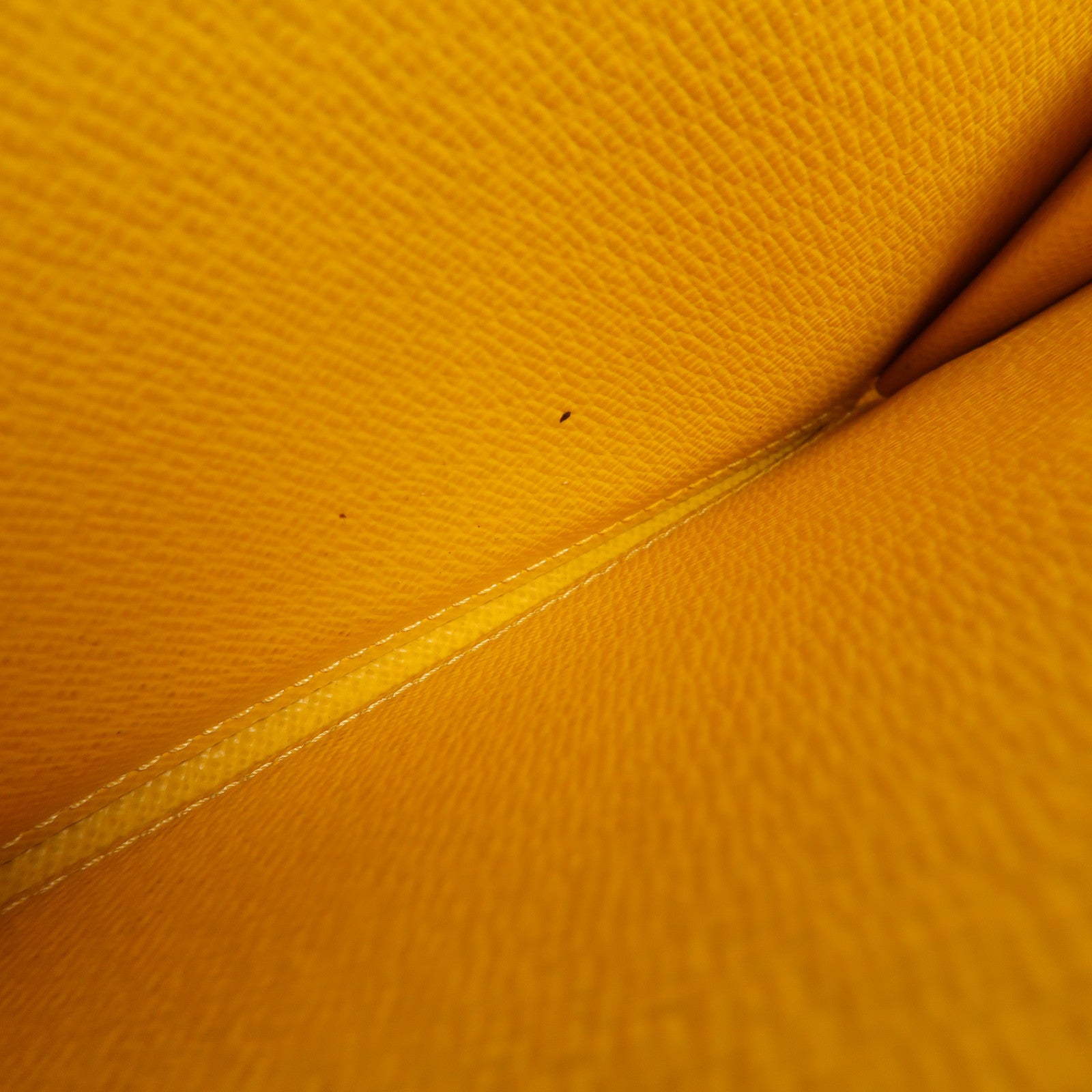 LOUIS VUITTON Epi Zipper Long Wallet長錢包