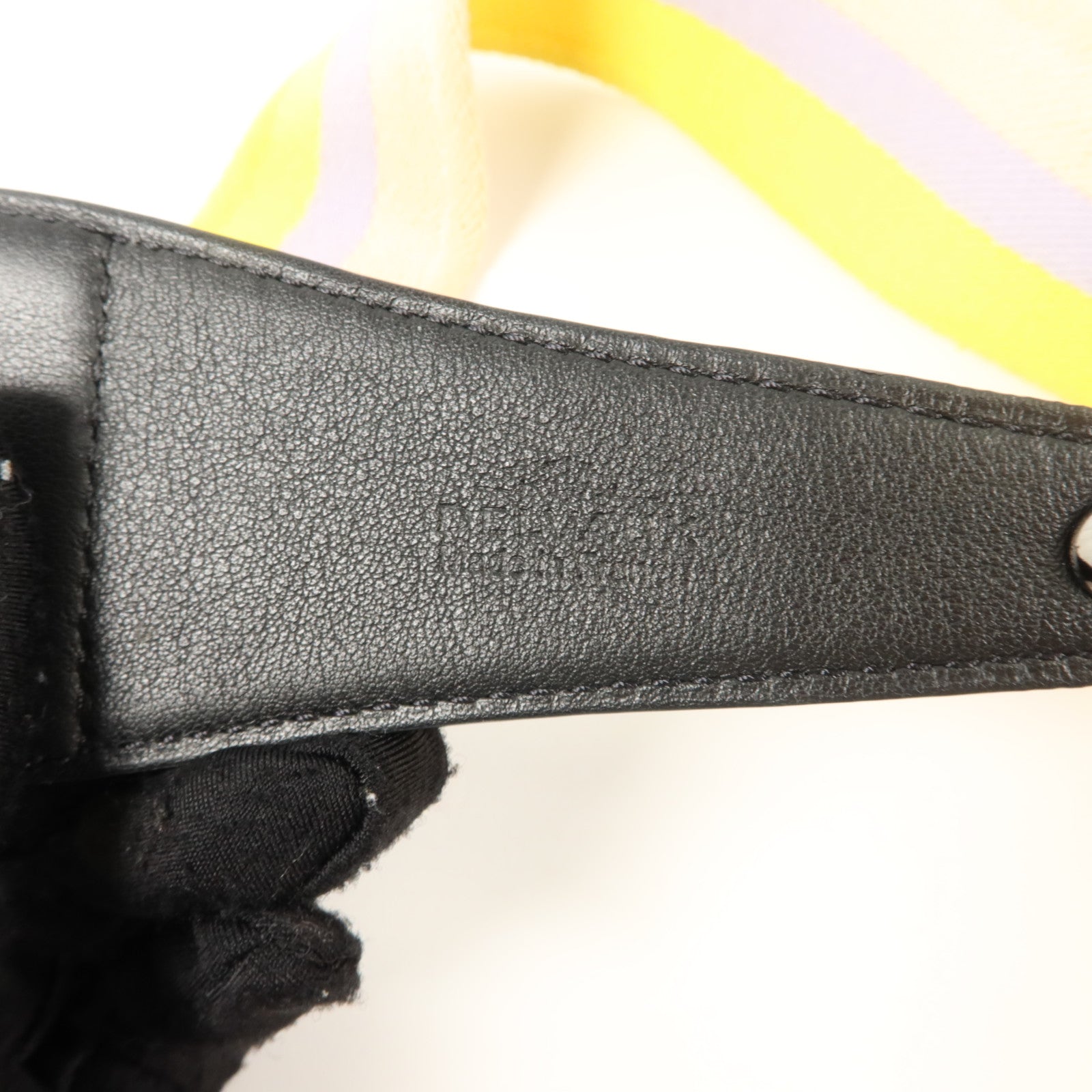 Delvaux 帆布Shoulder Strap肩帶