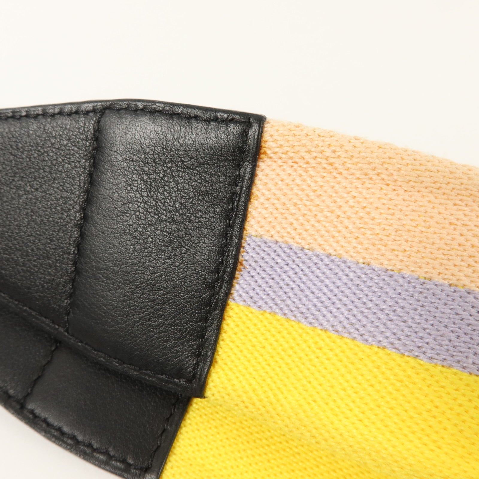 Delvaux 帆布Shoulder Strap肩帶