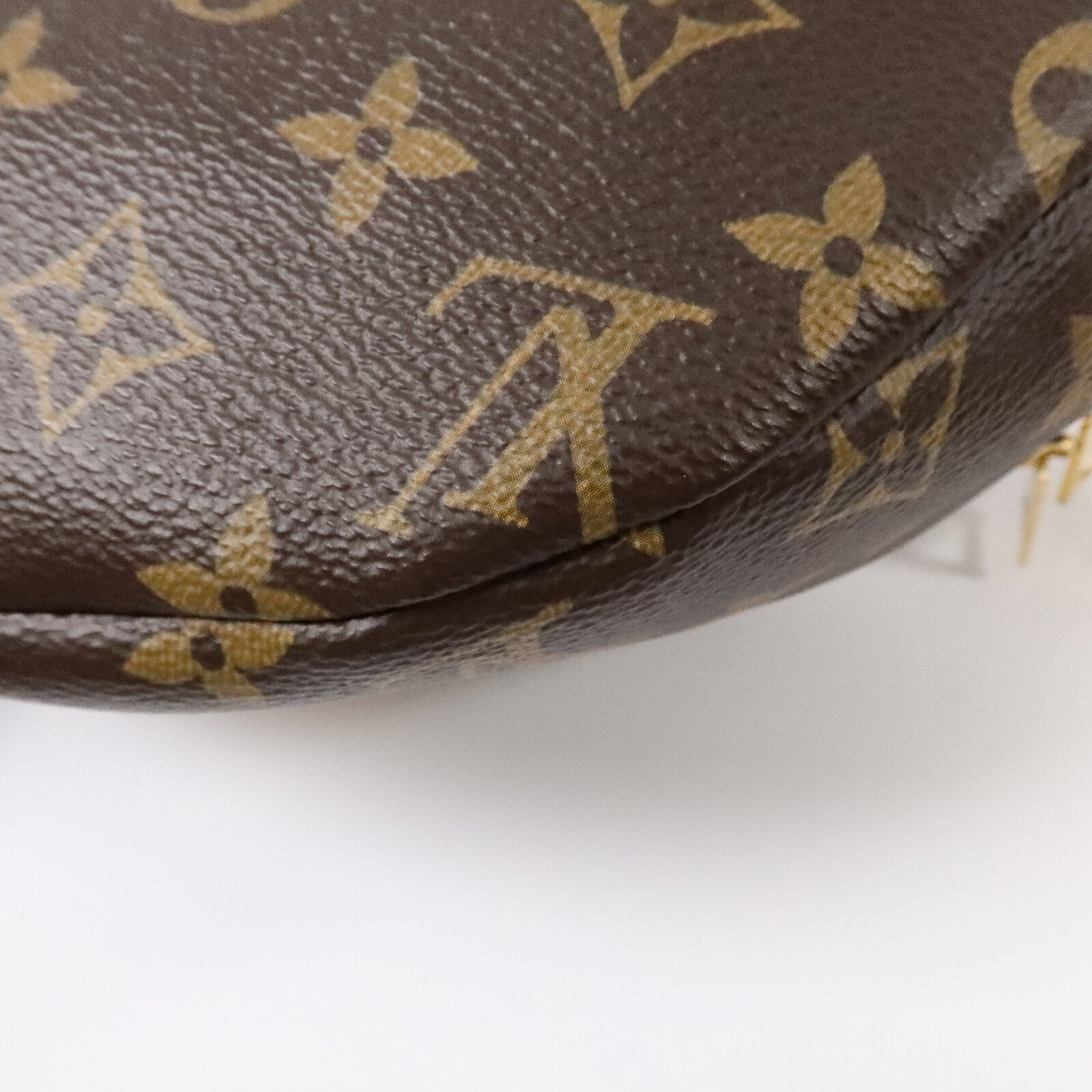 LOUIS VUITTON Monogram Bum Bag腰包