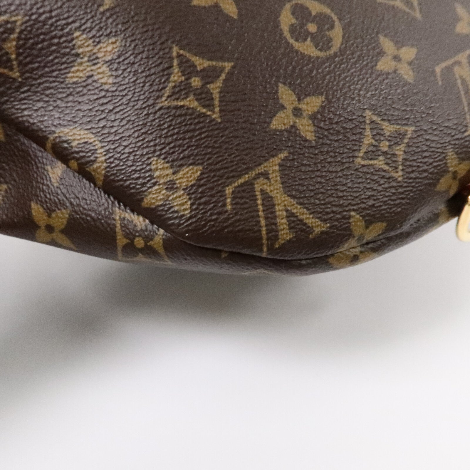LOUIS VUITTON Monogram Bum Bag腰包