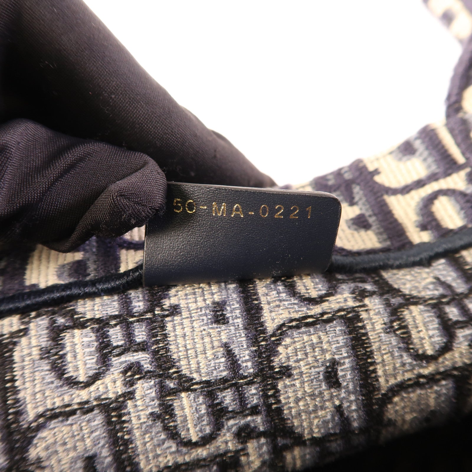 Dior 帆布Book Tote Medium手挽袋