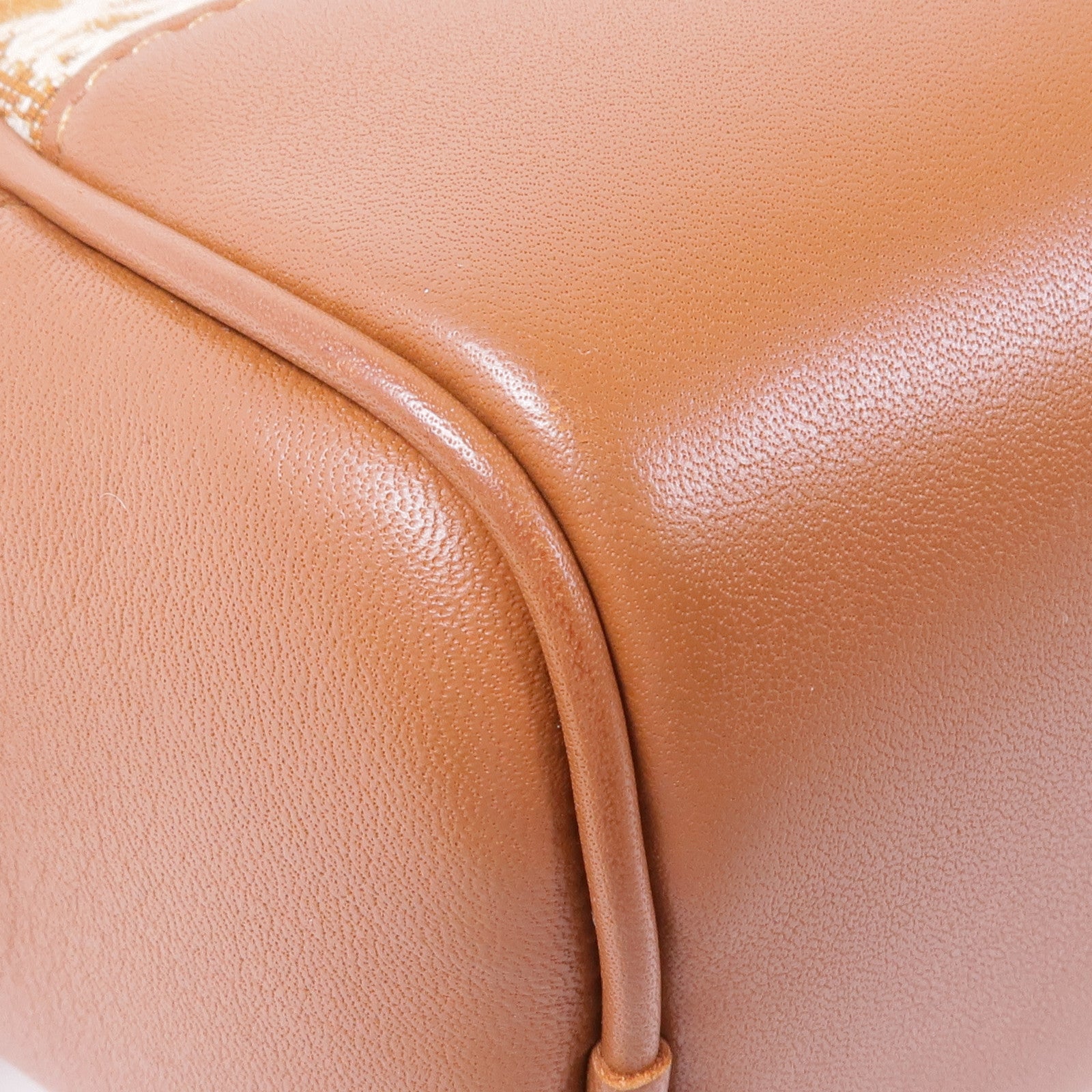 LOEWE 帆布/皮革Amazona 16金扣手挽肩背兩用袋