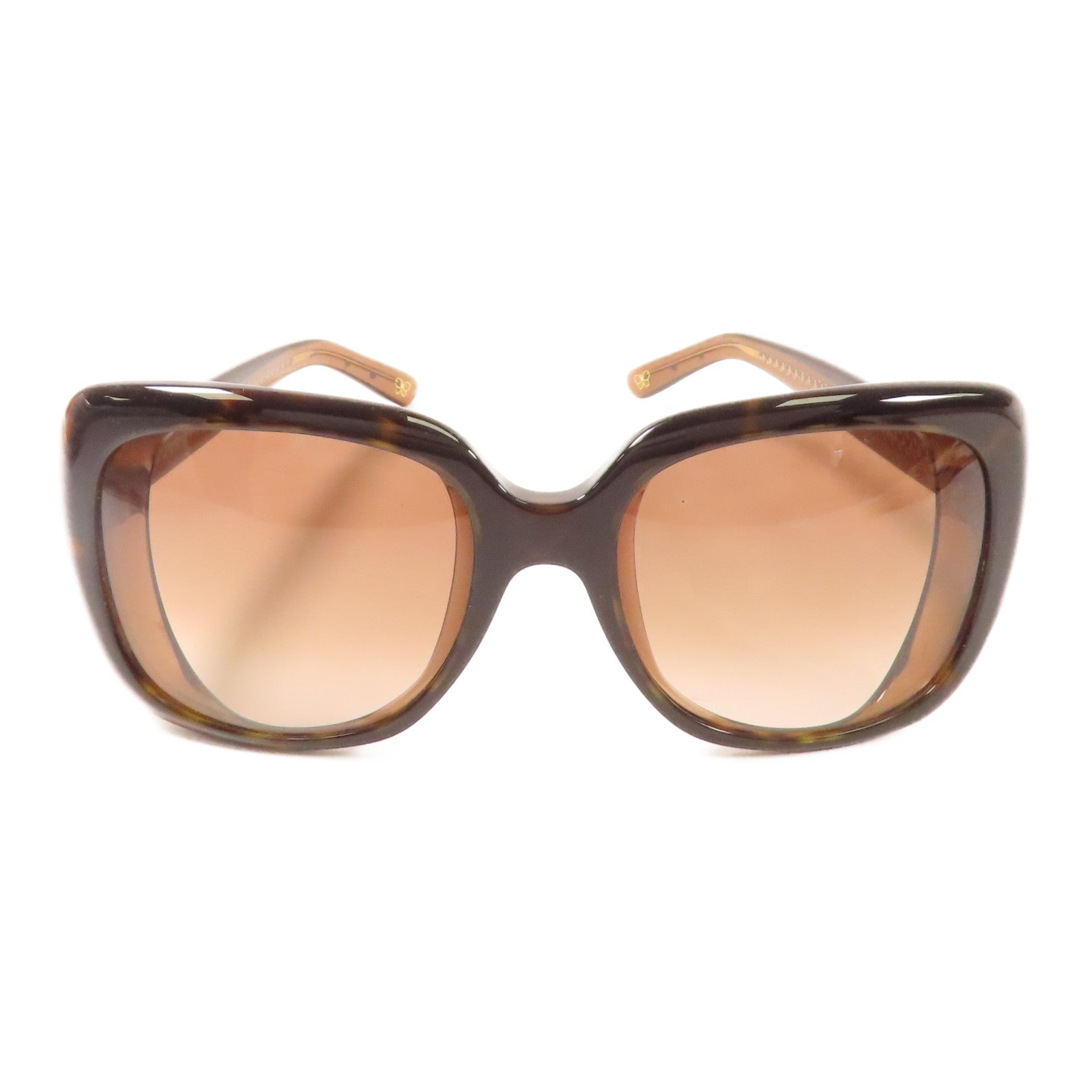 BOTTEGA VENETA PVC Sunglasses太陽眼鏡