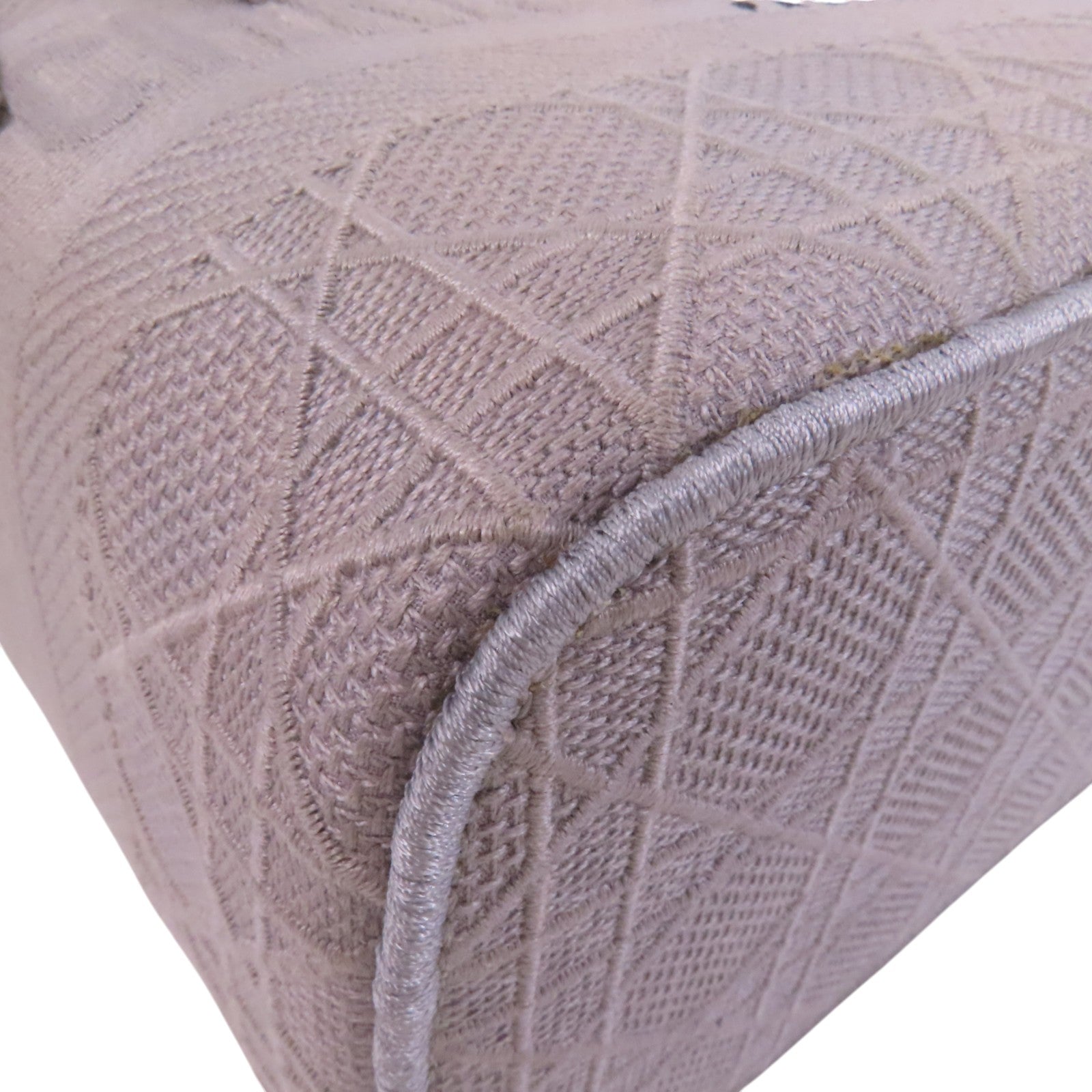 Dior 帆布Vanity Case銀扣手挽袋