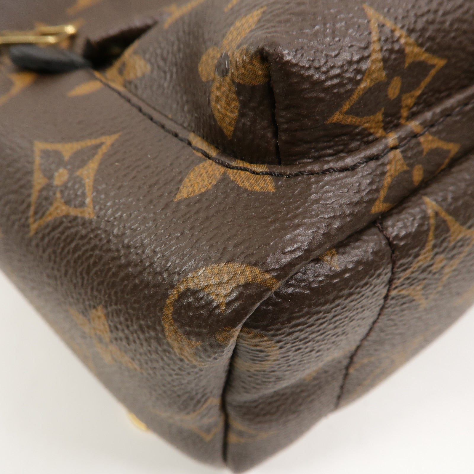 LOUIS VUITTON Monogram Palm Springs Mini背包