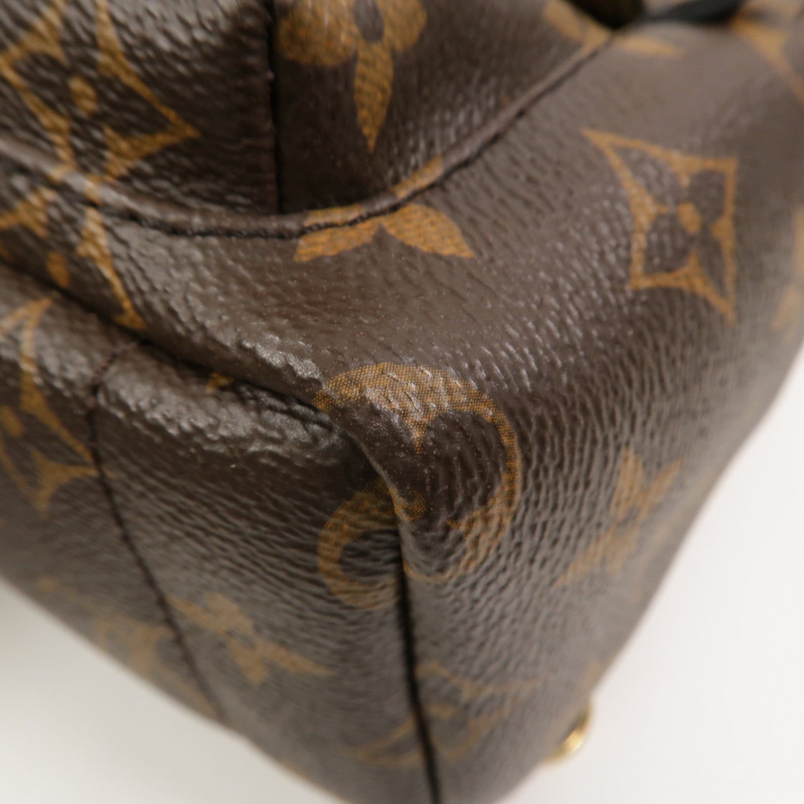 LOUIS VUITTON Monogram Palm Springs Mini背包