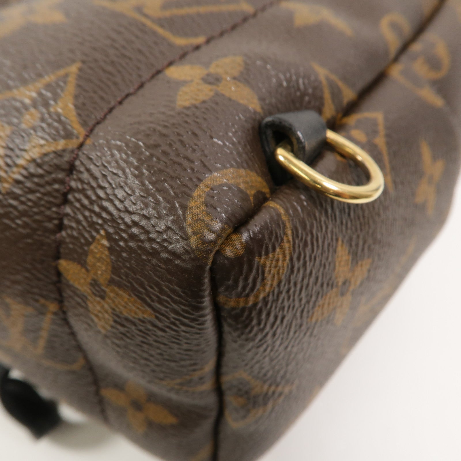 LOUIS VUITTON Monogram Palm Springs Mini背包