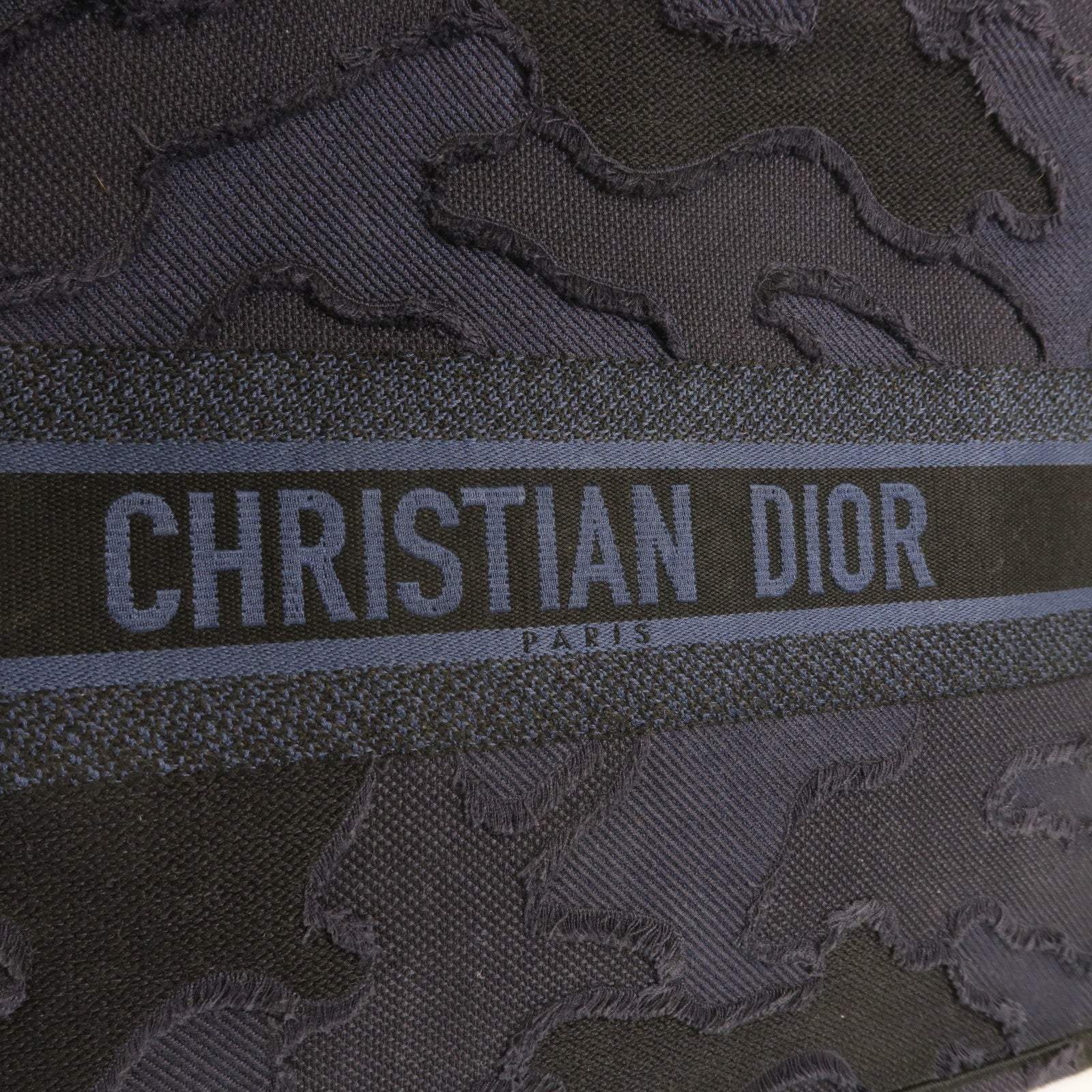 Dior 帆布Book Tote Large手挽袋