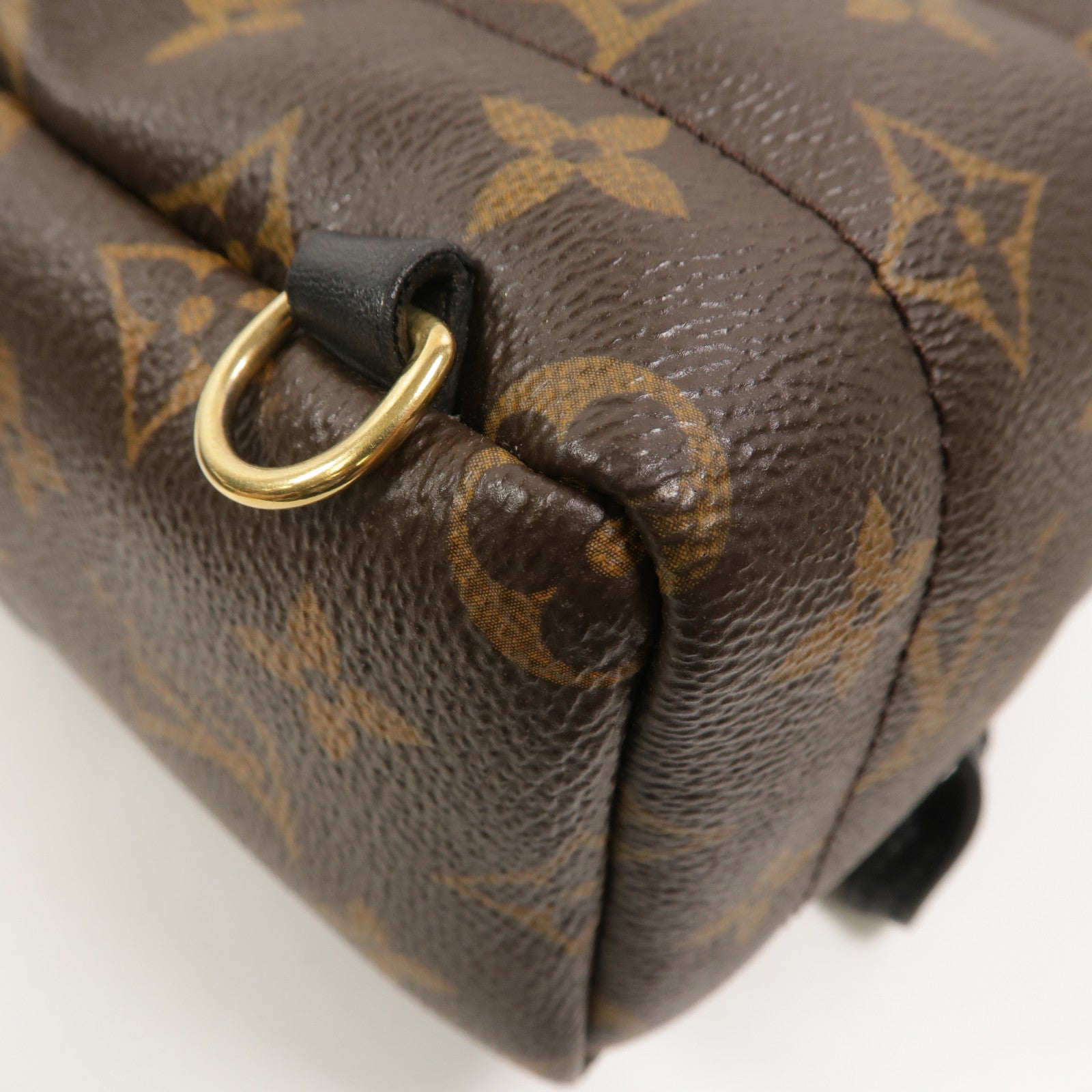 LOUIS VUITTON Monogram Palm Springs Mini背包