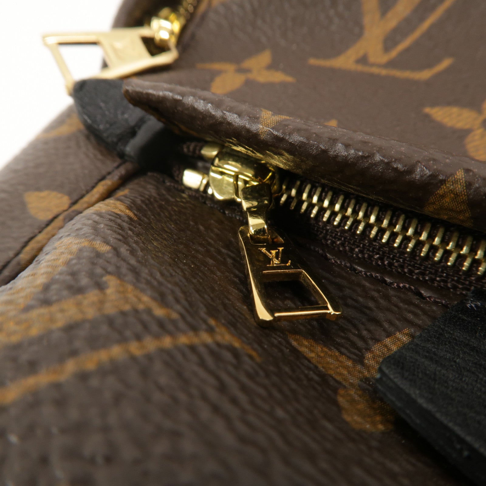 LOUIS VUITTON Monogram Palm Springs Mini背包