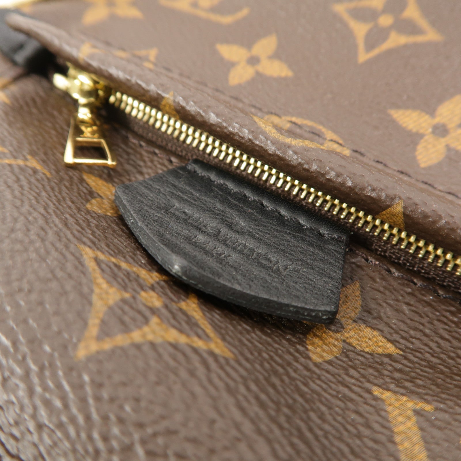 LOUIS VUITTON Monogram Palm Springs Mini背包