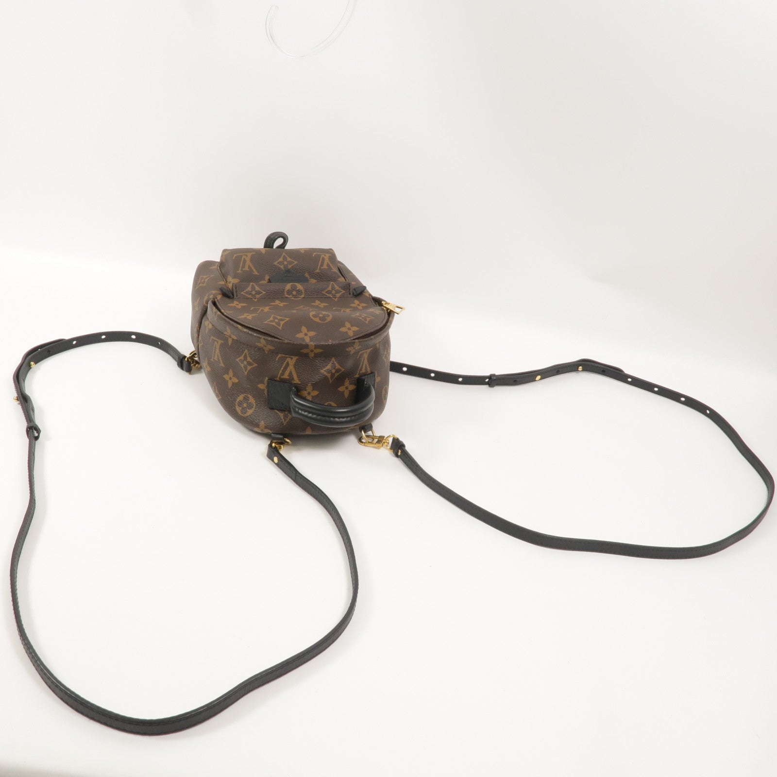 LOUIS VUITTON Monogram Palm Springs Mini背包