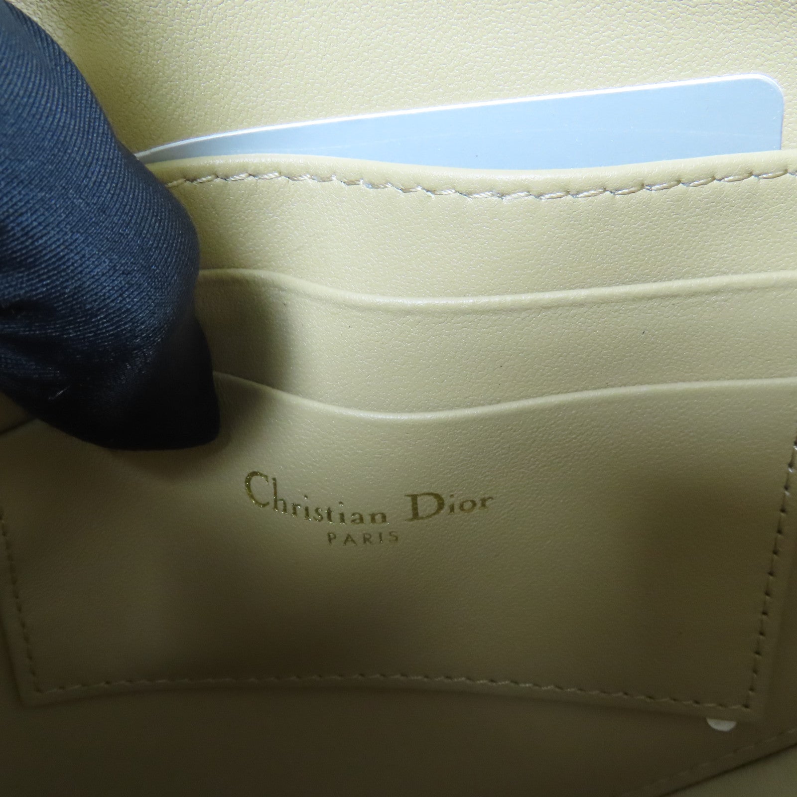 Dior 【激減優惠】山羊皮皮革Saddle Rodeo Poach金扣肩背袋