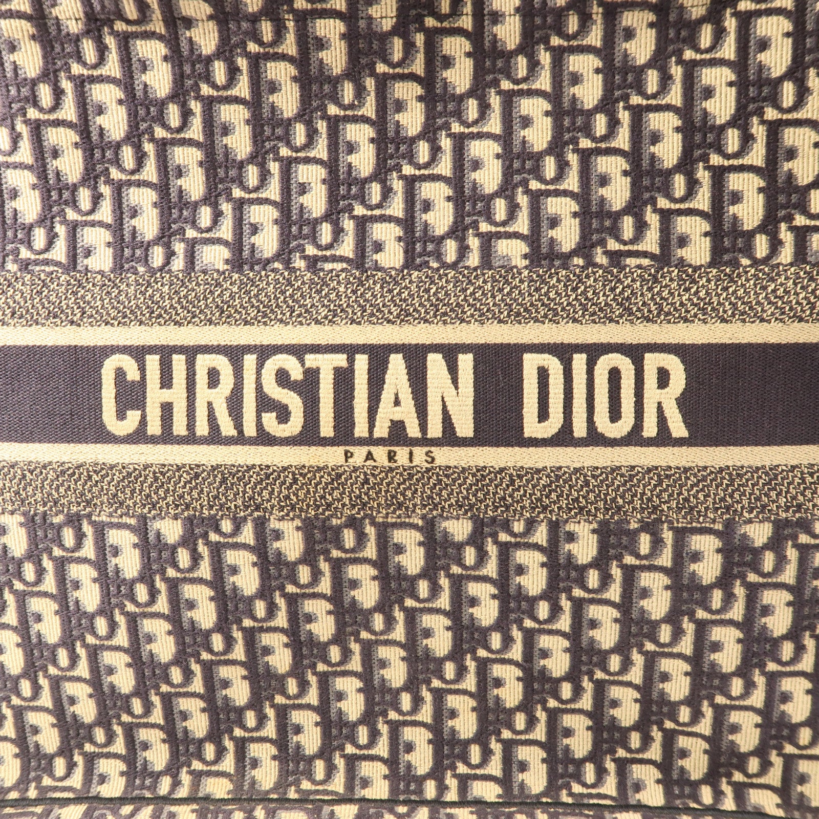 Dior 帆布Book Tote手挽袋