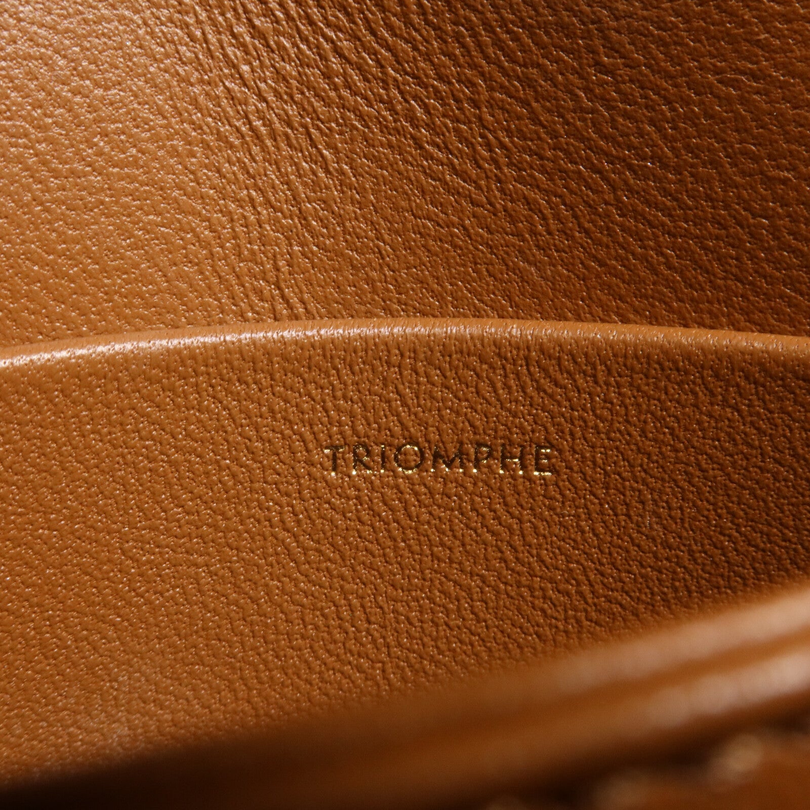 CELINE 牛皮皮革/塗層帆布Classique Triomphe Teen肩背袋