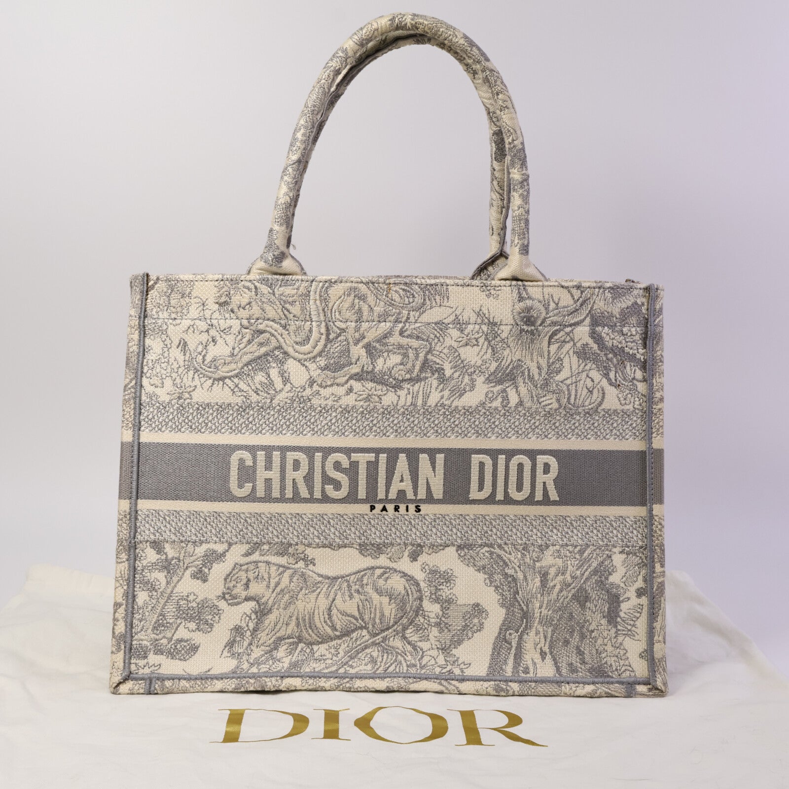 Dior 帆布Book Tote Medium肩背袋