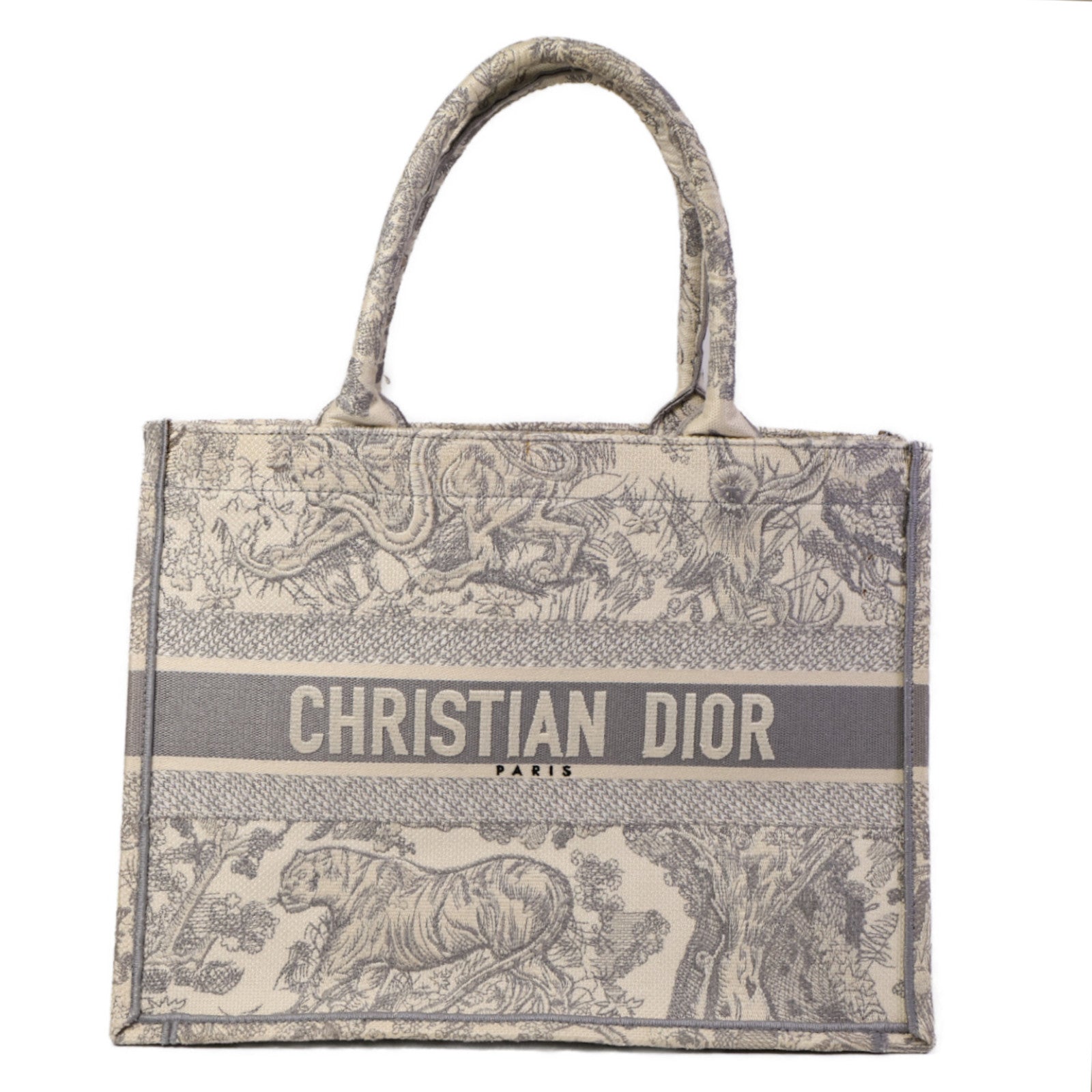 Dior 帆布Book Tote Medium肩背袋