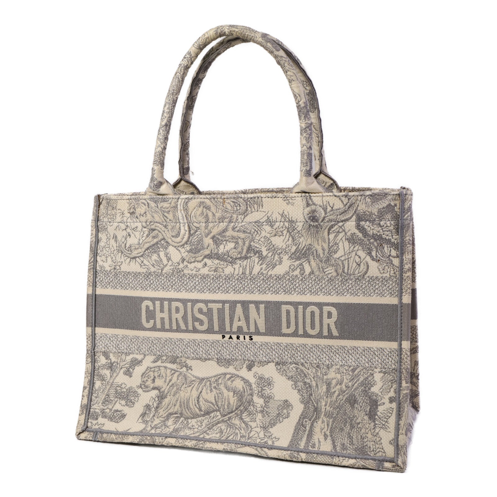 Dior 帆布Book Tote Medium肩背袋