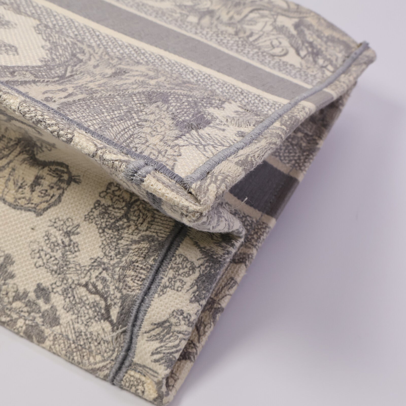 Dior 帆布Book Tote Medium肩背袋
