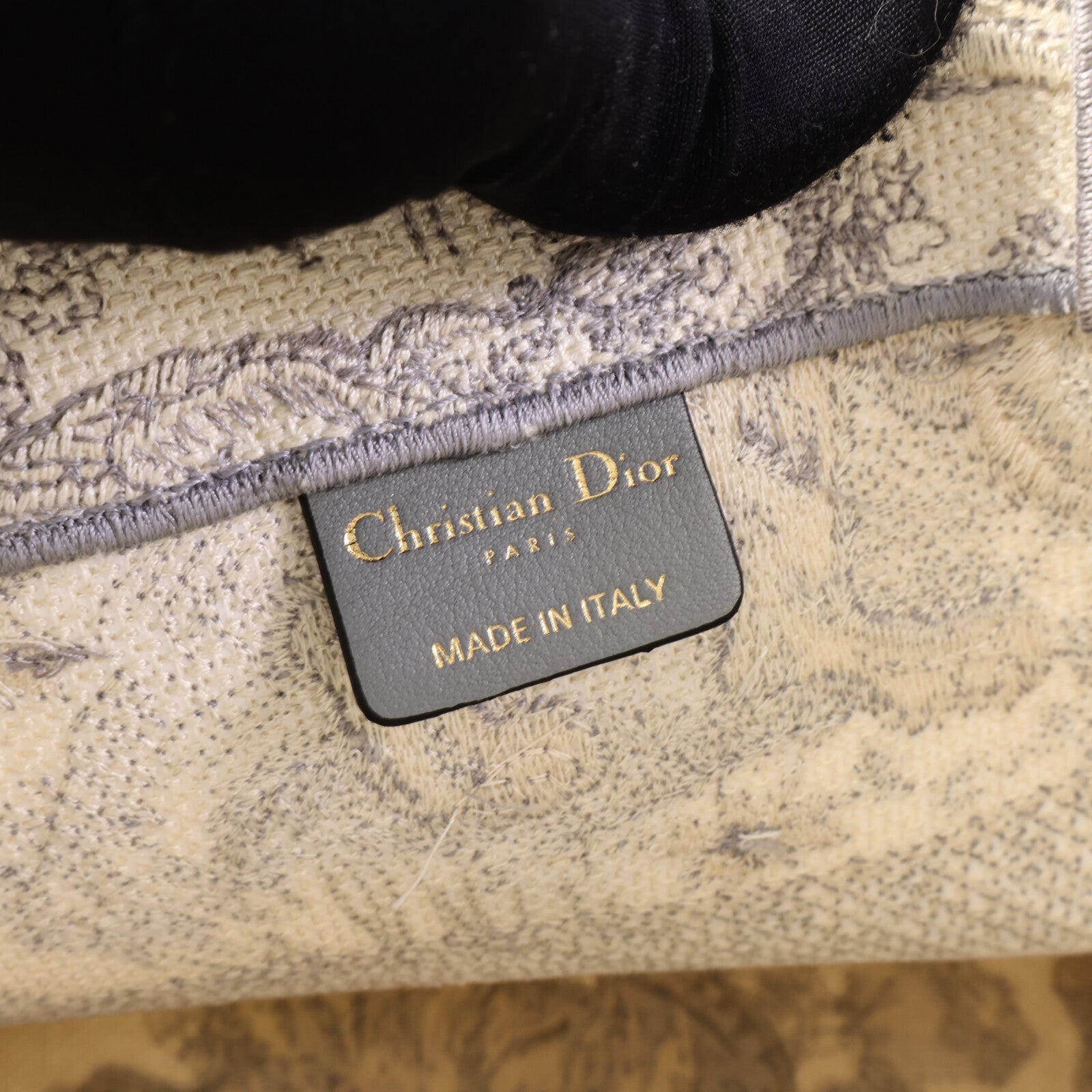 Dior 帆布Book Tote Medium肩背袋