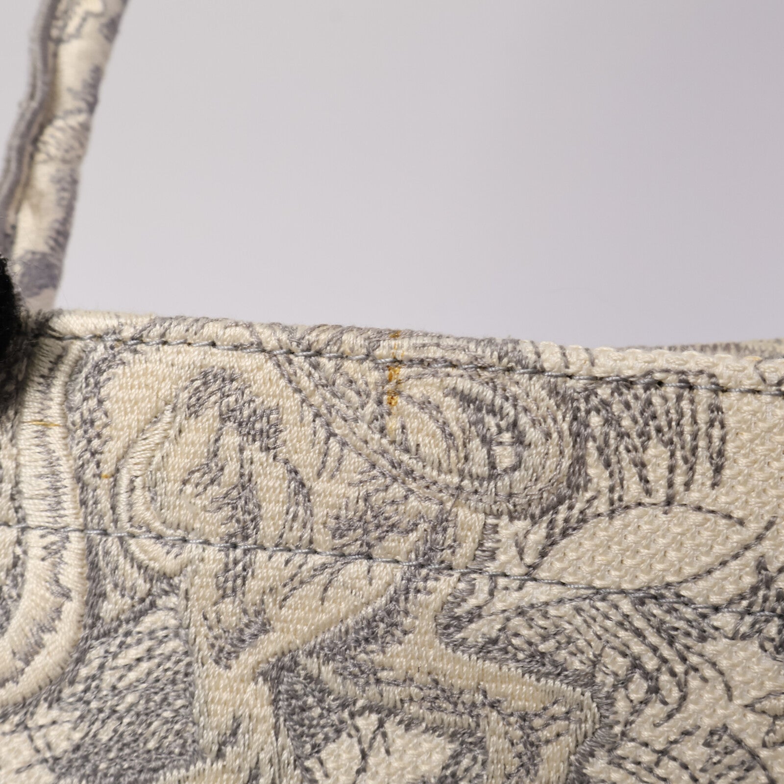 Dior 帆布Book Tote Medium肩背袋
