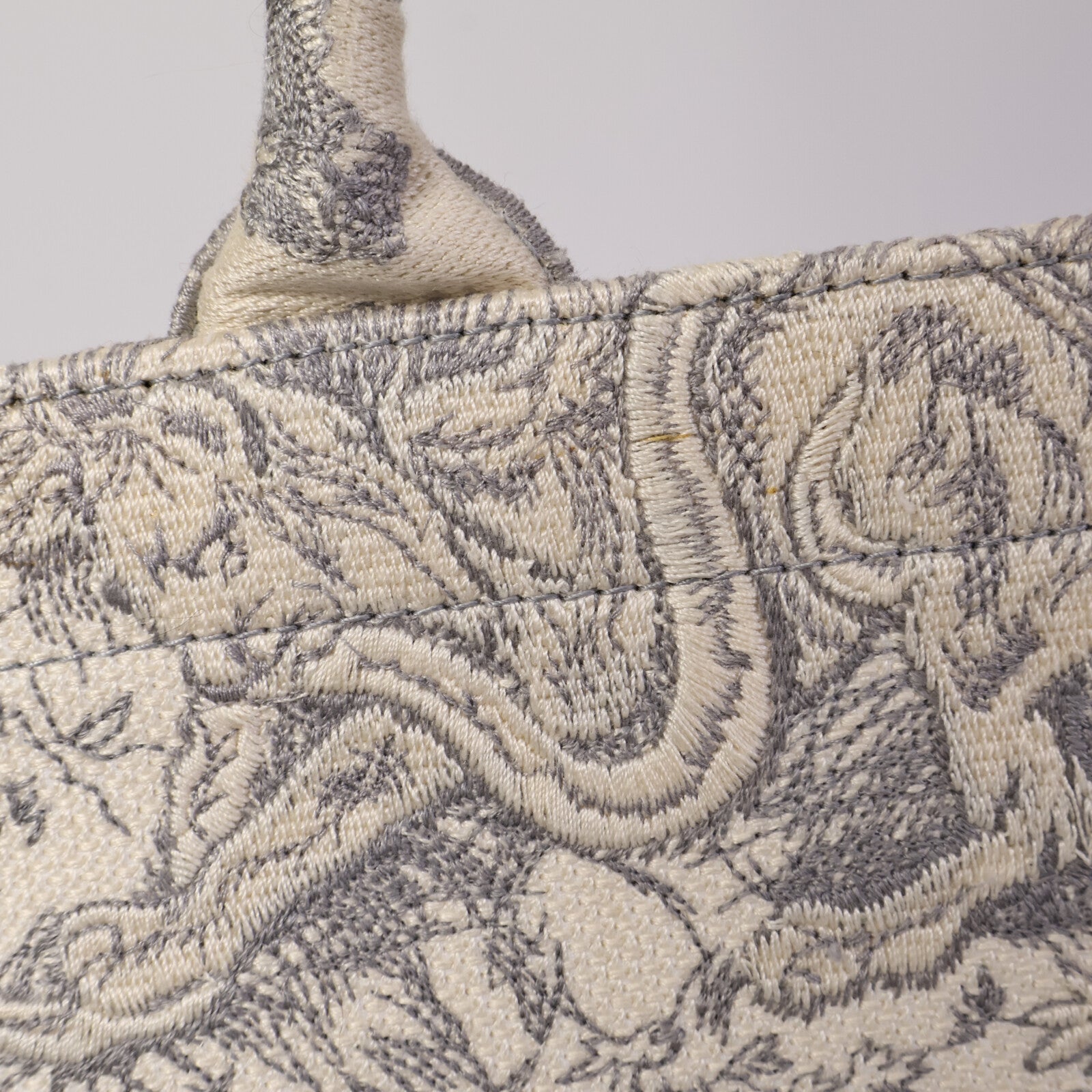 Dior 帆布Book Tote Medium肩背袋
