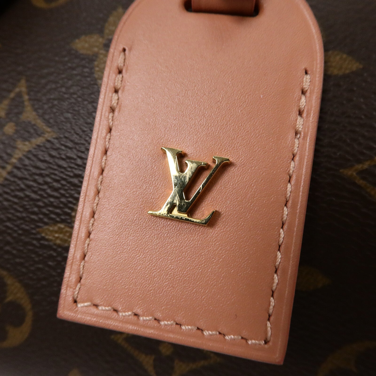 LOUIS VUITTON Monogram Petite Malle Souple手挽肩背兩用袋