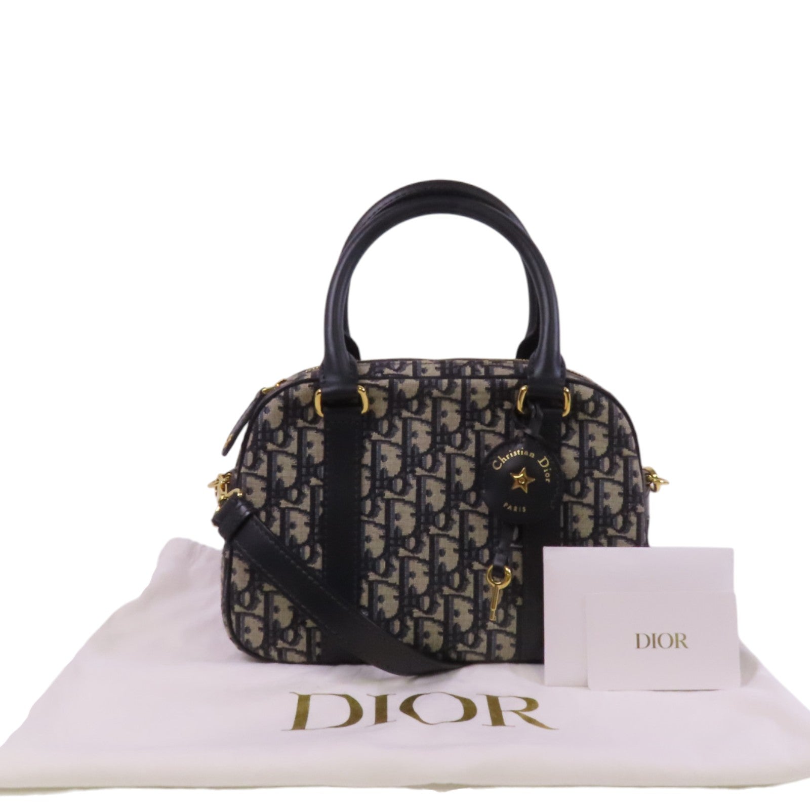 Dior Obrigard帆布D-Vibe Medium金扣手挽肩背兩用袋