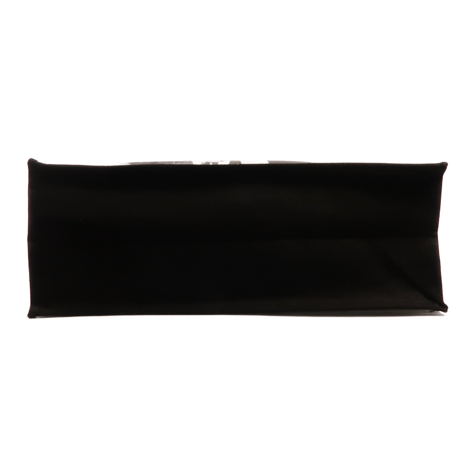 Dior 帆布Cruise 2025 Tote Bag手挽袋