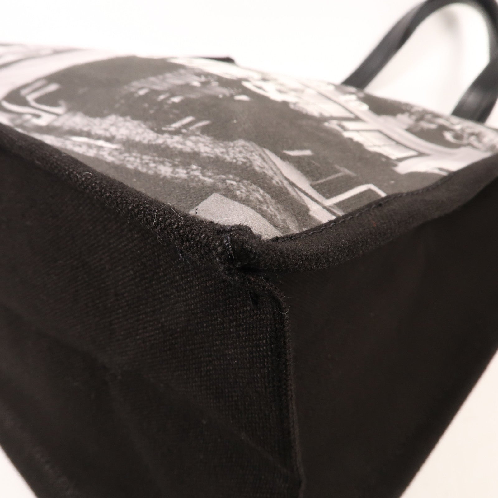 Dior 帆布Cruise 2025 Tote Bag手挽袋