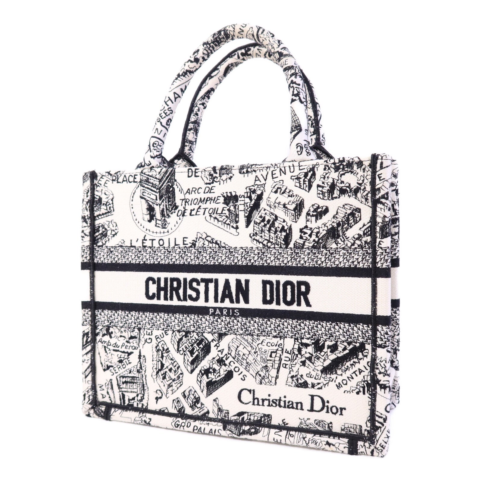 Dior 帆布Book Tote Small手挽袋