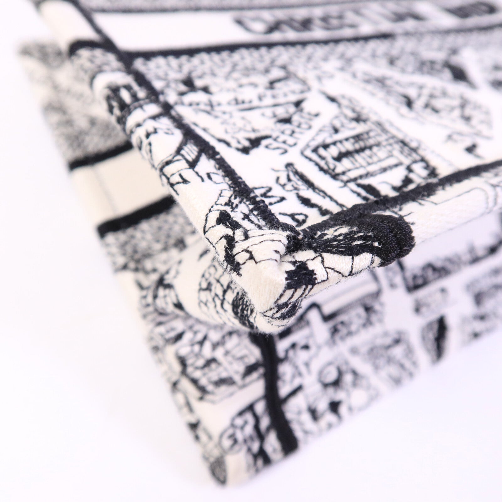 Dior 帆布Book Tote Small手挽袋