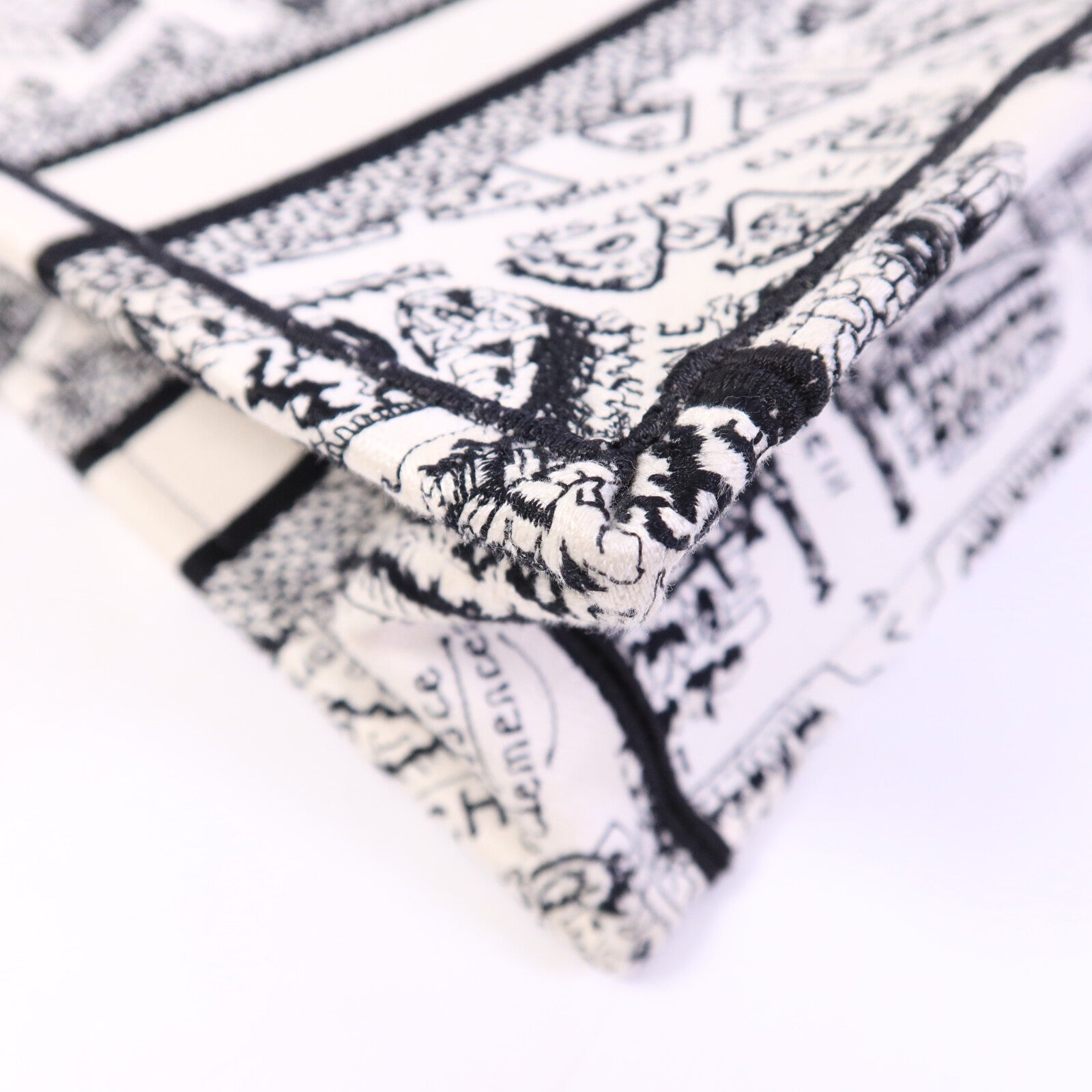 Dior 帆布Book Tote Small手挽袋