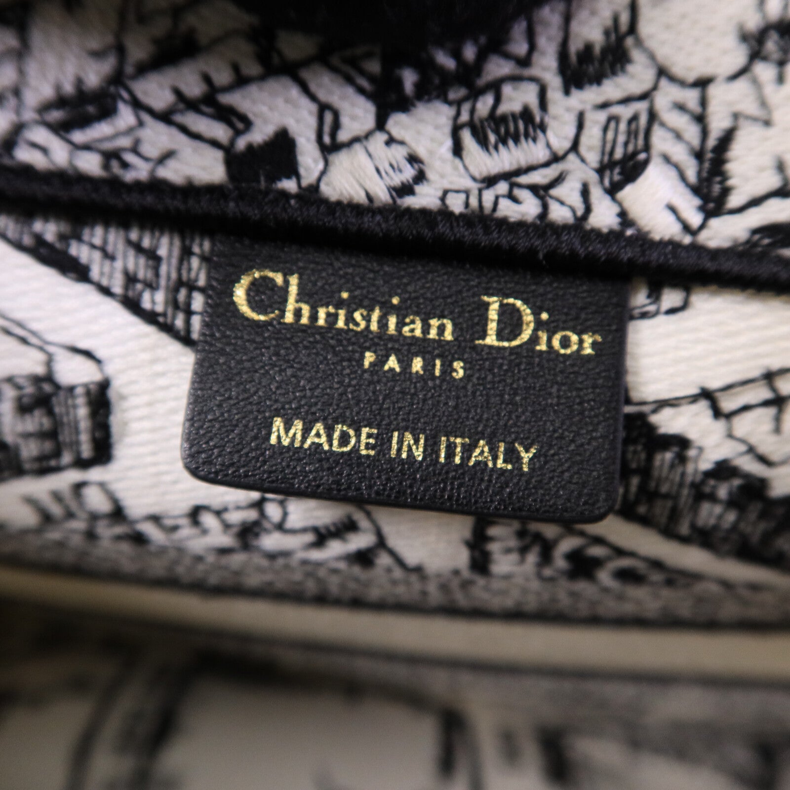 Dior 帆布Book Tote Small手挽袋