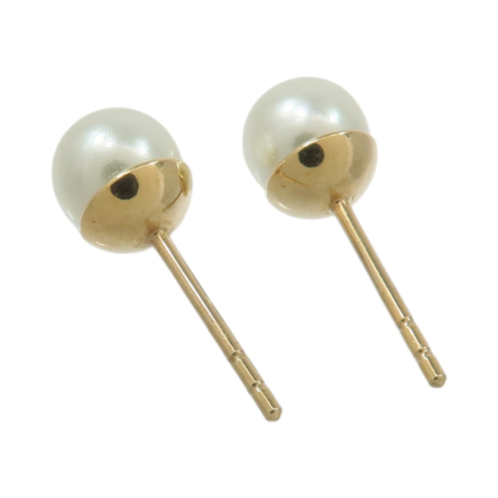 Dior PVC/金屬Dior Tribales Earrings耳環