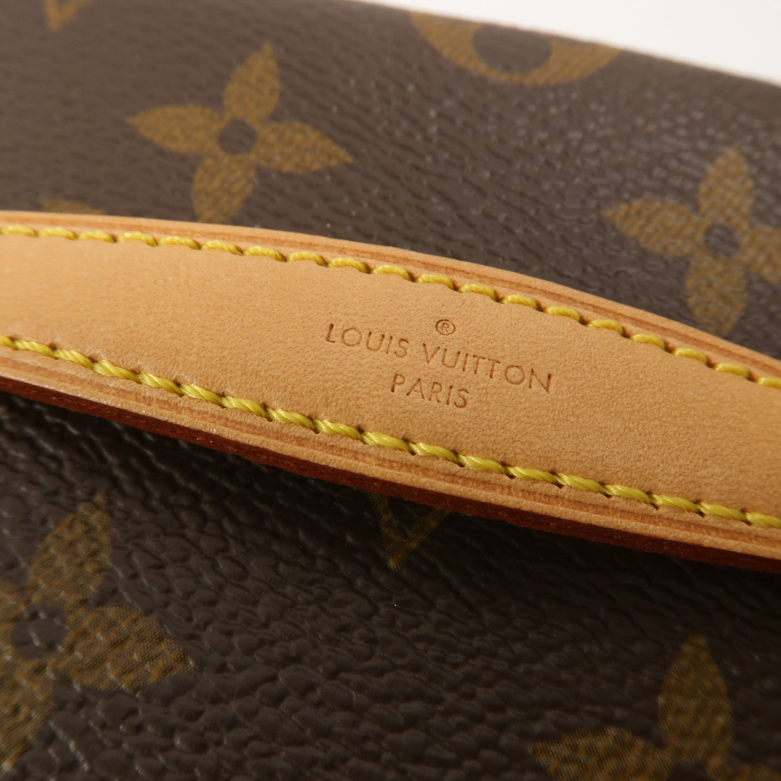 LOUIS VUITTON Monogram Nice Nano化妝袋