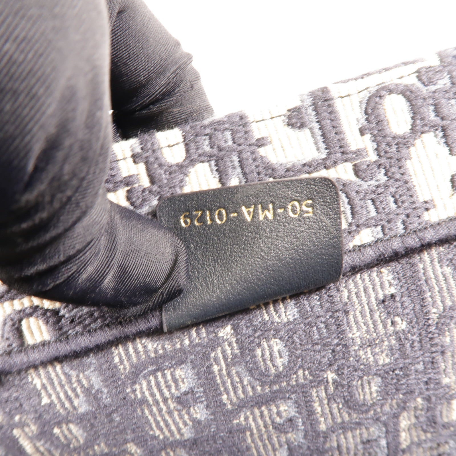 Dior 帆布Book Tote Large手挽袋
