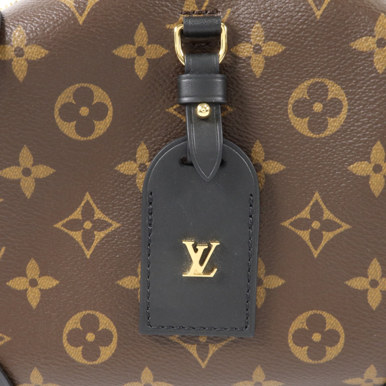 LOUIS VUITTON Monogram Petite Malle Souple手挽肩背兩用袋