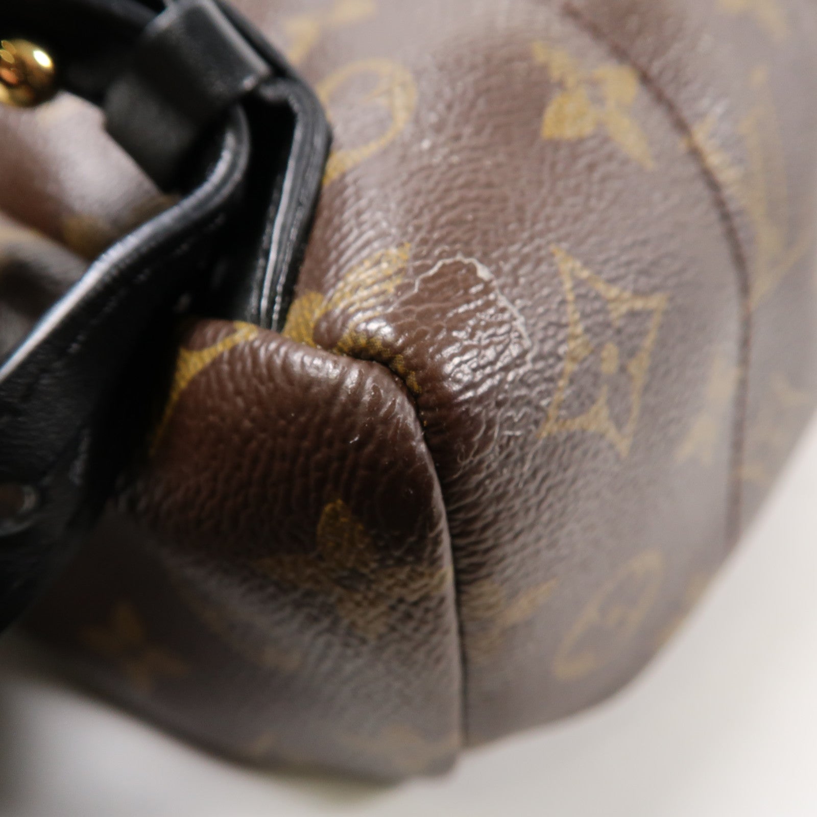 LOUIS VUITTON Monogram Palm Springs PM金扣背包啡色