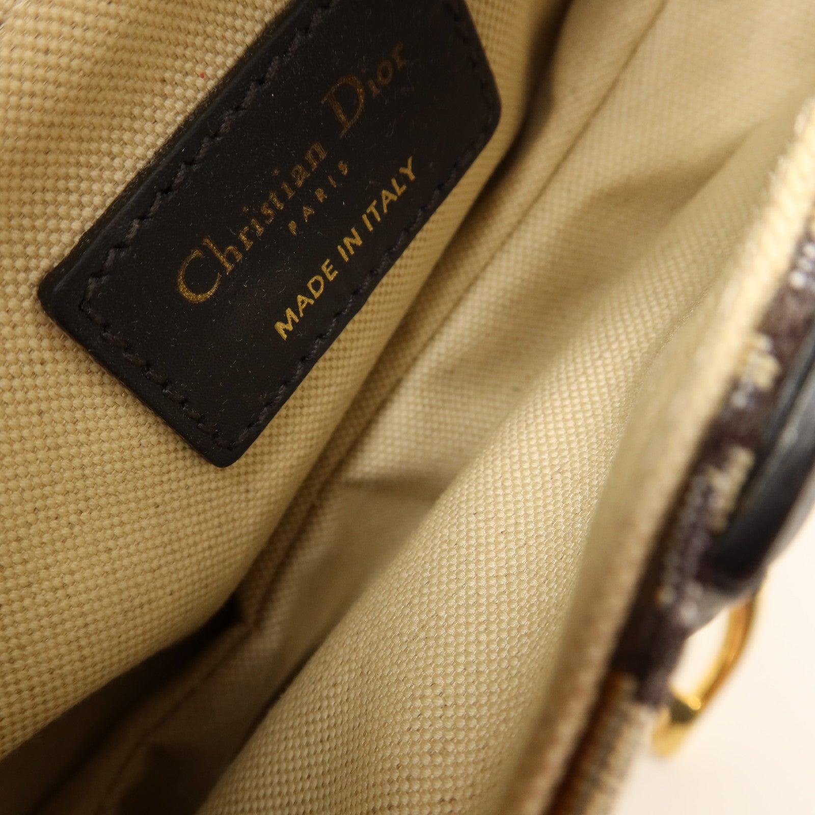 Dior Oblique帆布Mini Saddle金扣手挽袋