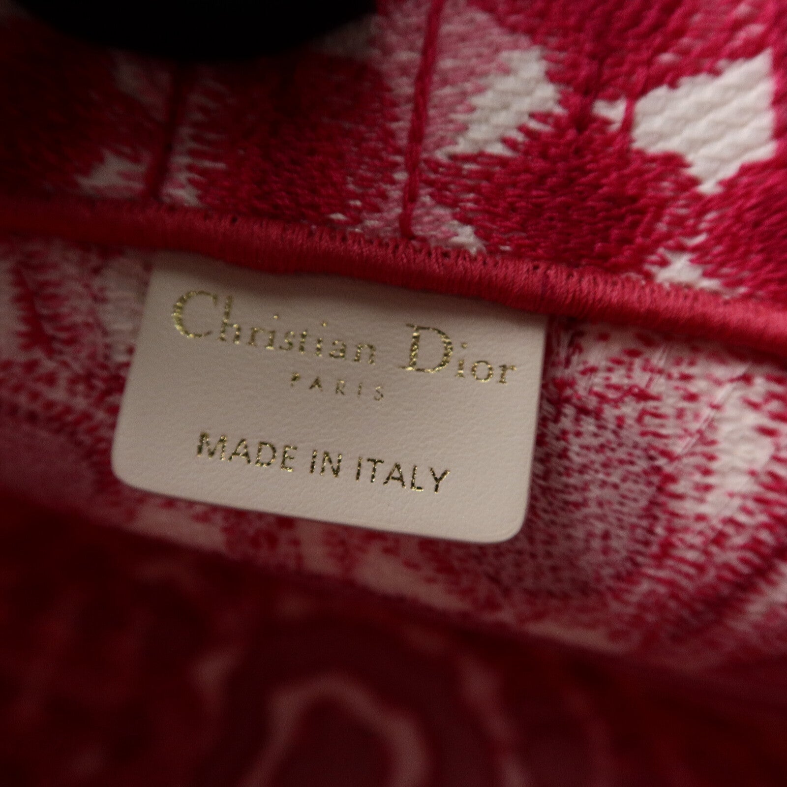 Dior 帆布Book Tote Medium手挽袋