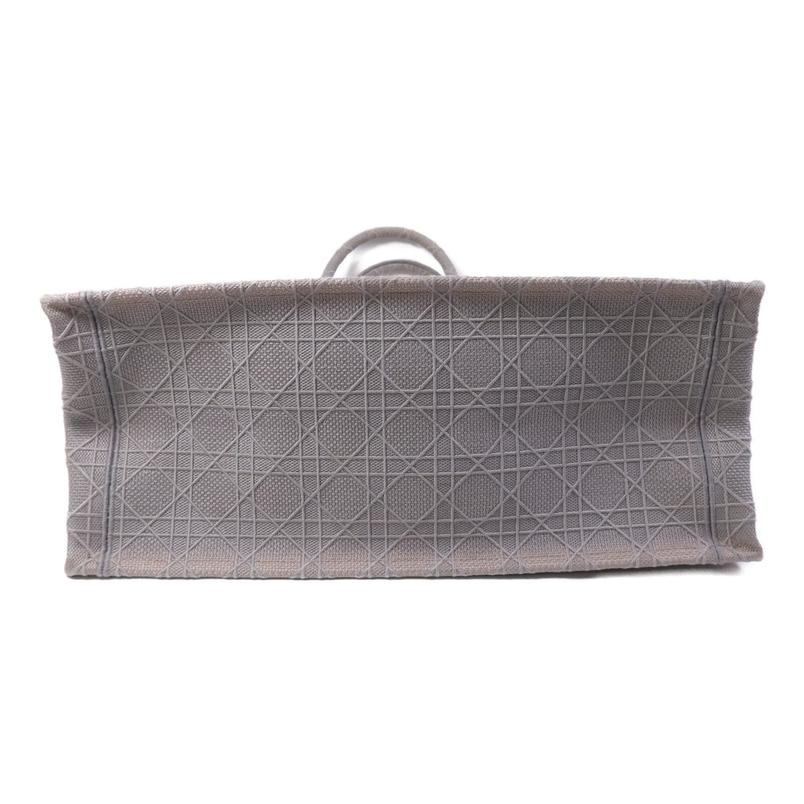 Dior 帆布Book Tote Bag手挽袋