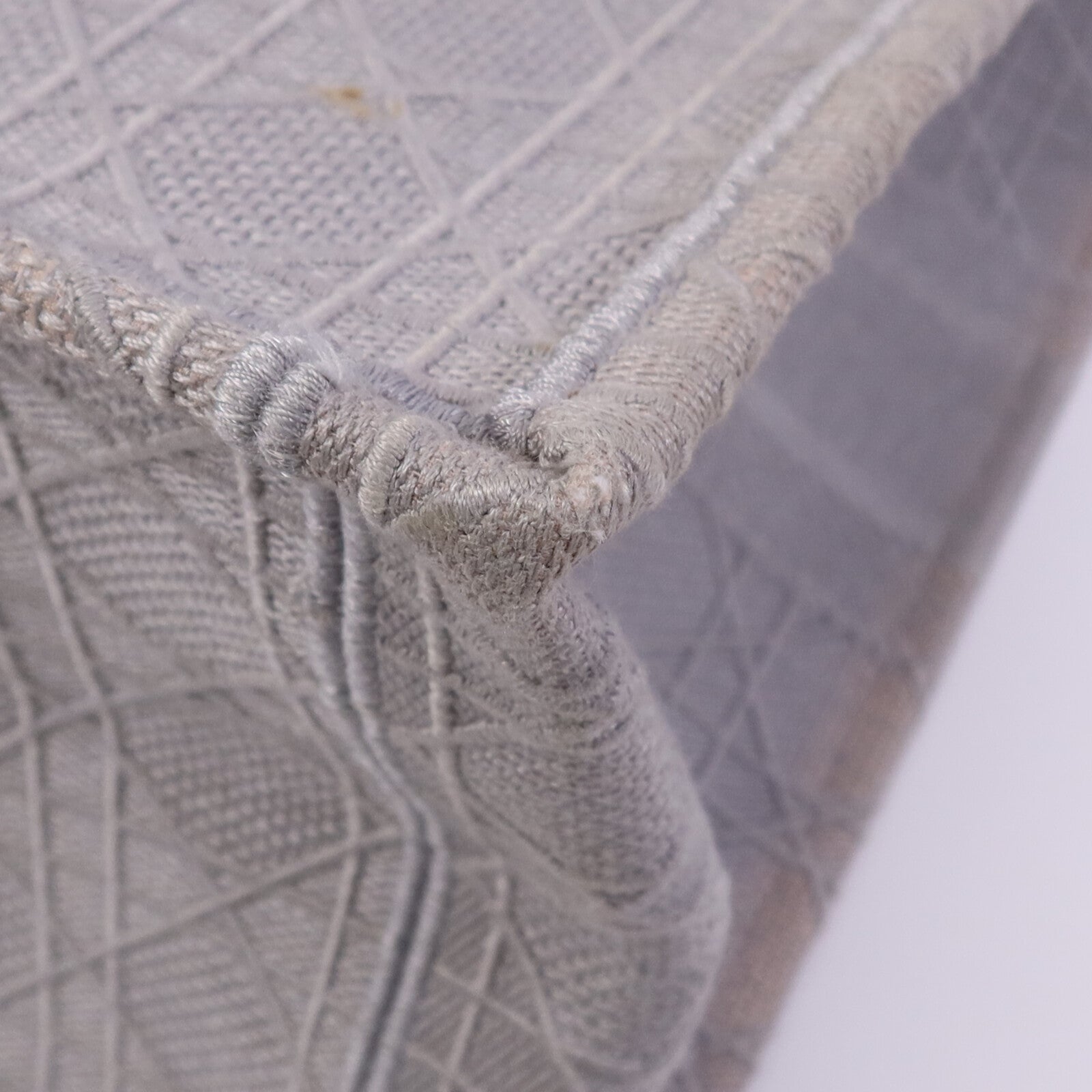 Dior 帆布Book Tote Bag手挽袋