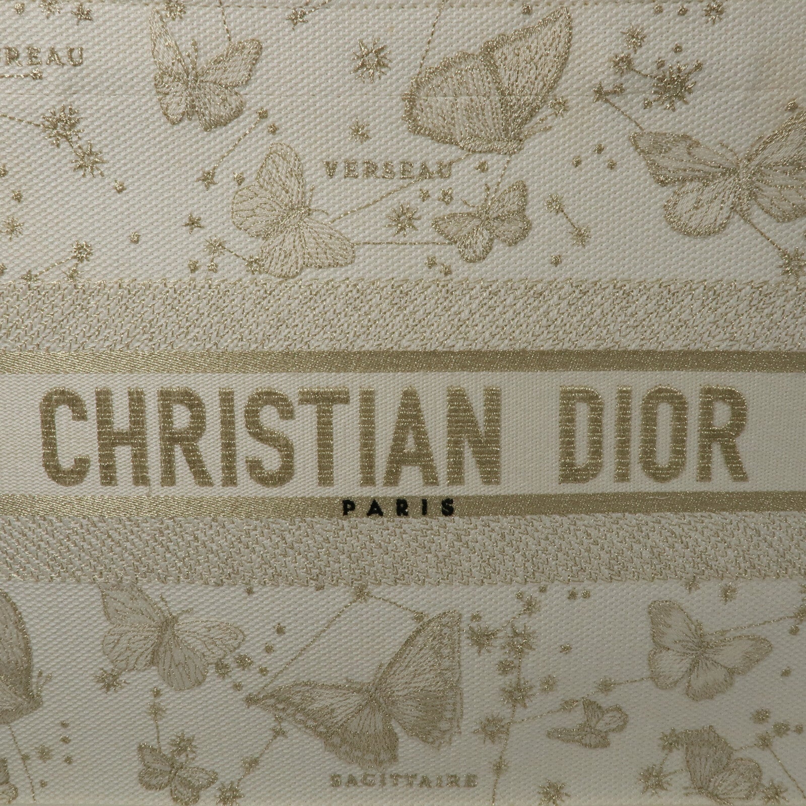 Dior 帆布Book Tote Medium手挽袋